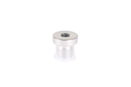 VSTI BSP 1/4" ED HYDRON BOUCHON FILETÉ SIX PANS CREUX