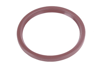 50X58X5 BAUMÜLLER VITON RADIAL BA FKM JOINT SPI