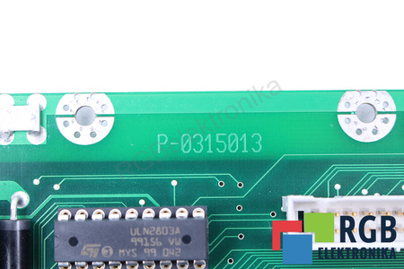 P-0315013 DSM