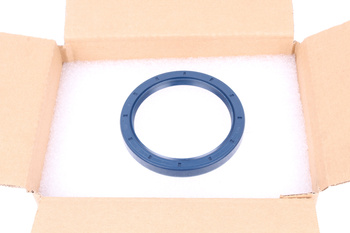80X100X12 NAK TC NBR-BLUE JOINT SPI