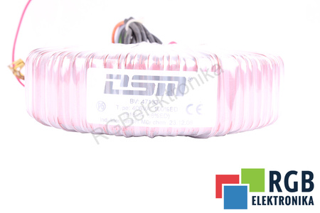 406VA DSM 7133-