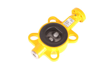 Z011-A EBRO ARMATUREN DN50 VANNE PAPILLON